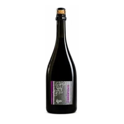 Lambrusco Emilia IGT